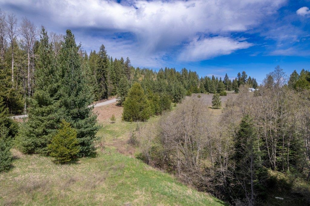 332 Bergen Road Newport, WA 99156 - Photo 46 of 50