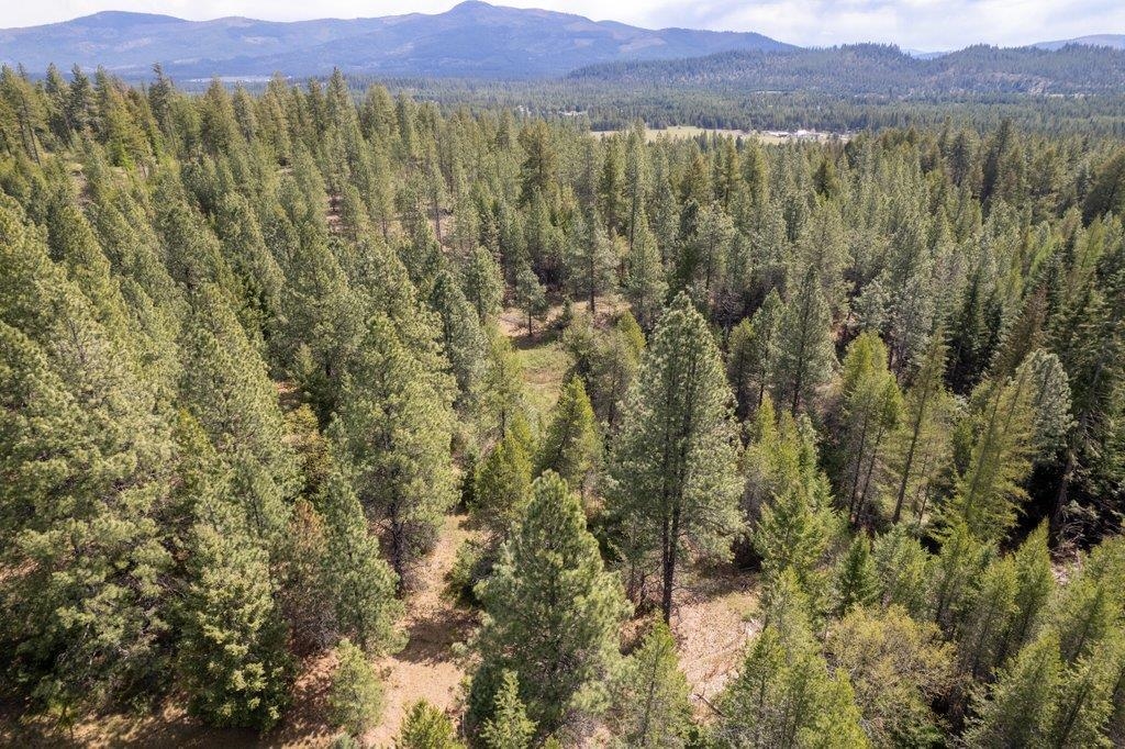 332 Bergen Road Newport, WA 99156 - Photo 48 of 50