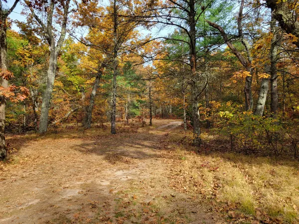 $38,500 | 4.84 South 160th Avenue, Holton, MI 49425