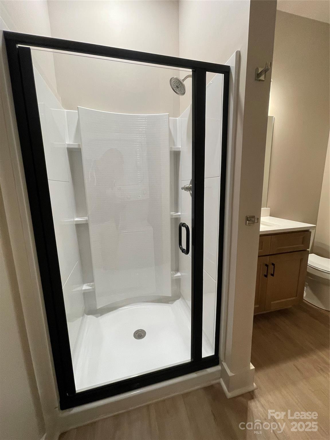 233 West Main Street, Unit B Albemarle, NC 28001 - Photo 8 of 12 a bathroom with a shower and toilet