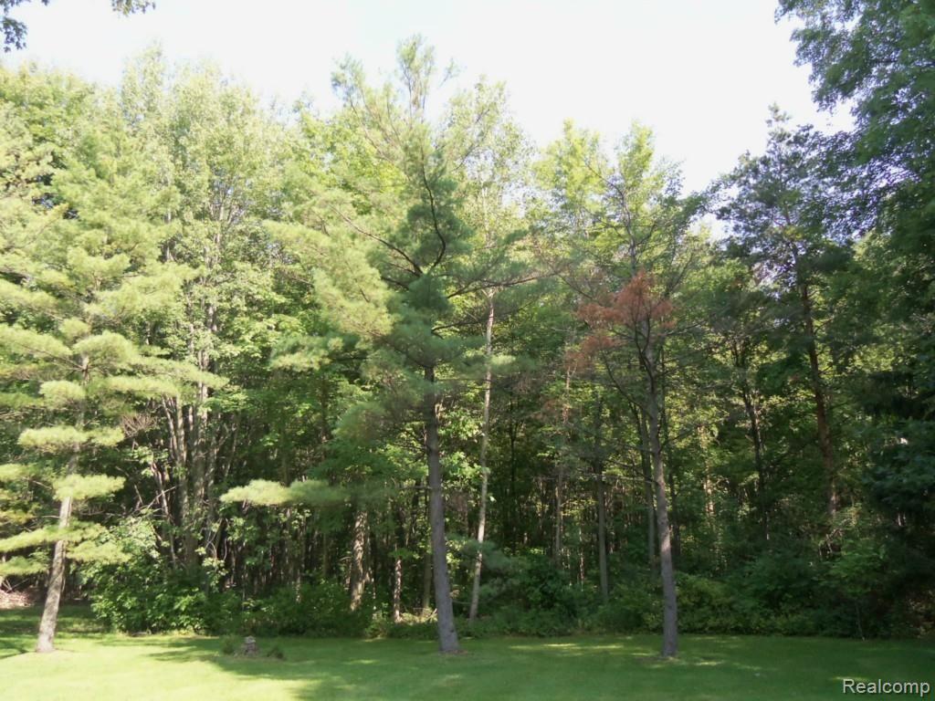 24641 24 Mile Road Macomb, MI 48042 - Photo 2 of 20 View from rear yard