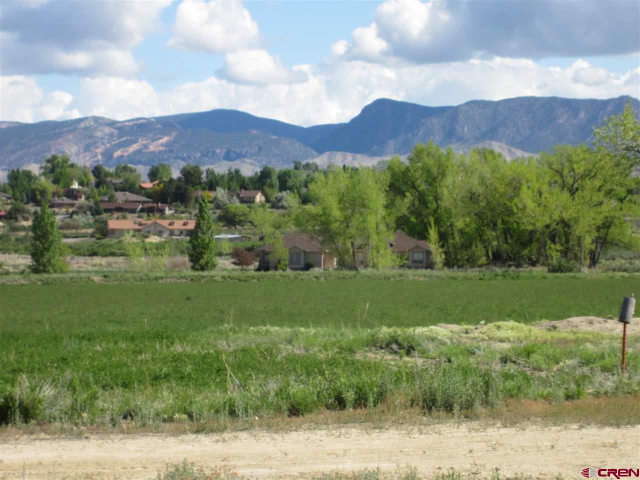 a view of a lush green hillside and a houses