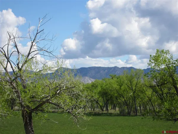 a view of a city with lush green forest