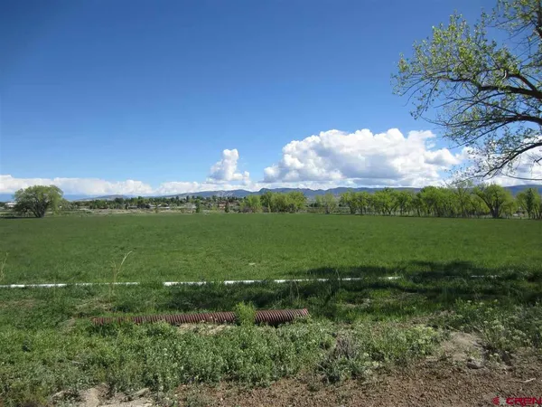 a view of a green field with clear sky