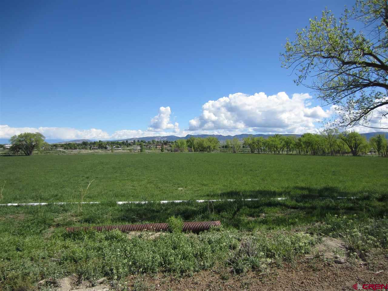 16666 6725 Road Montrose, CO 81401 - Photo 15 of 24 a view of a green field with clear sky