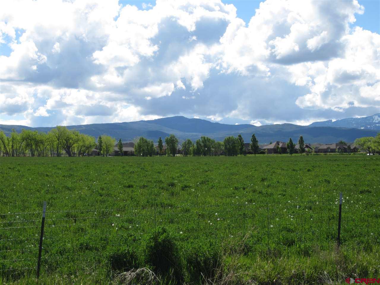16666 6725 Road Montrose, CO 81401 - Photo 17 of 24 a view of a city with lush green forest
