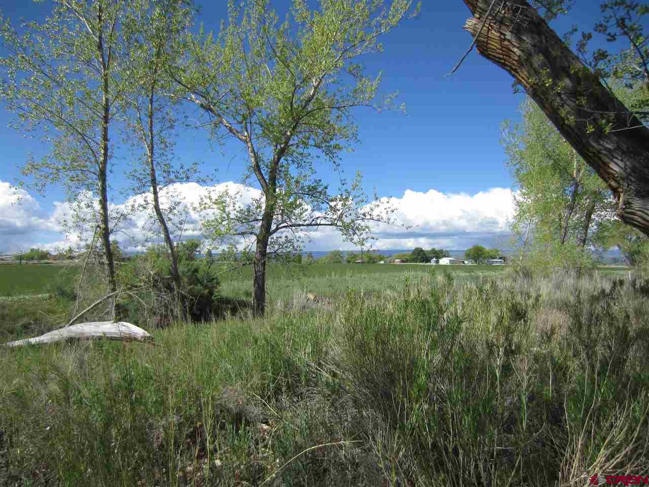 16666 6725 Road Montrose, CO 81401 - Photo 20 of 24 a view of a yard