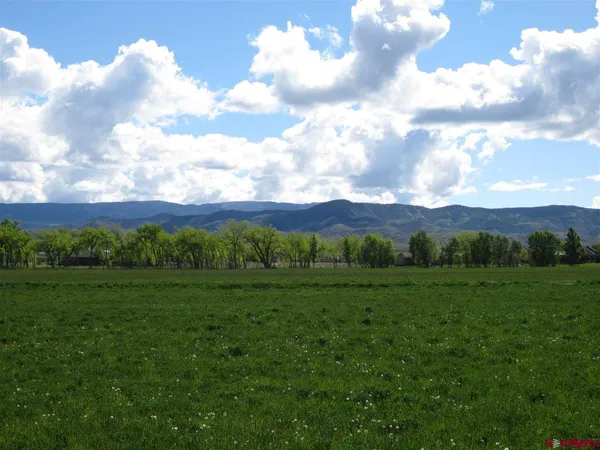 a view of a grassy field with mountains
