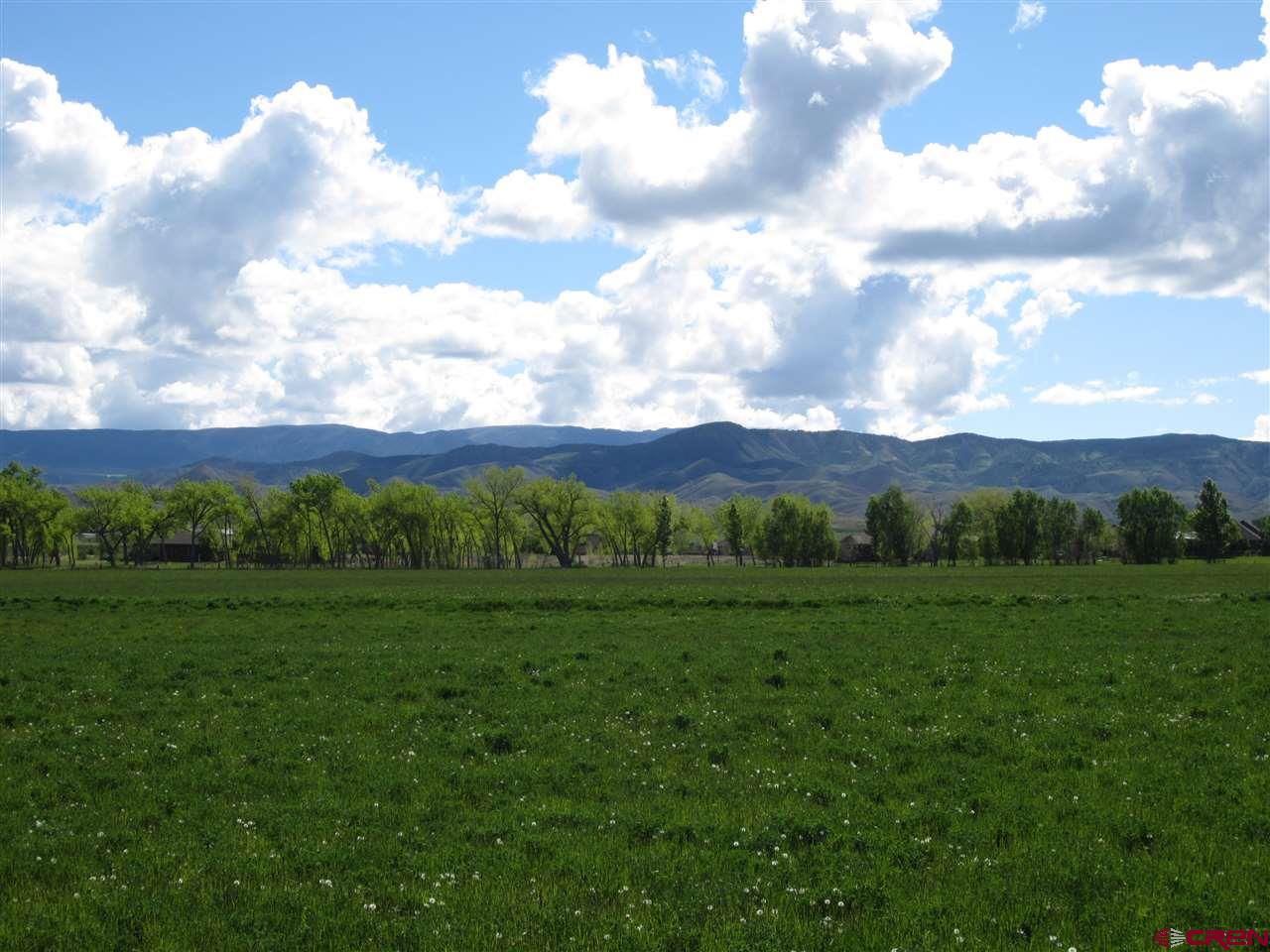 16666 6725 Road Montrose, CO 81401 - Photo 2 of 24 a view of a grassy field with mountains