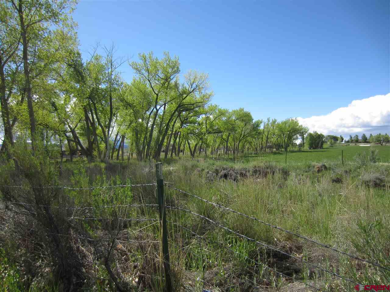 16666 6725 Road Montrose, CO 81401 - Photo 21 of 24 a view of a lake view with a garden