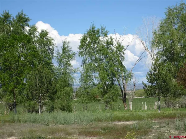 a view of a lake and a yard