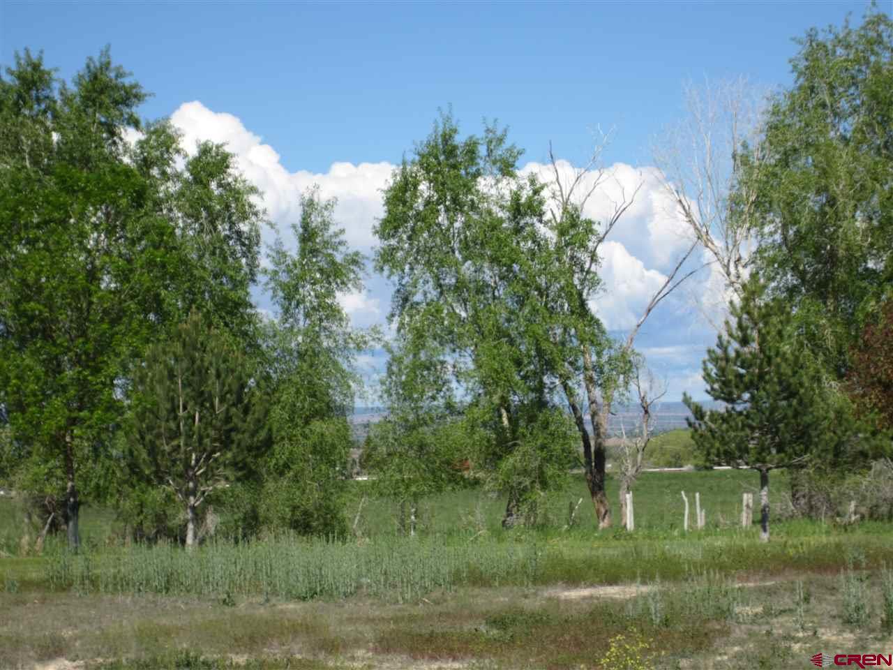16666 6725 Road Montrose, CO 81401 - Photo 22 of 24 a view of a lake and a yard