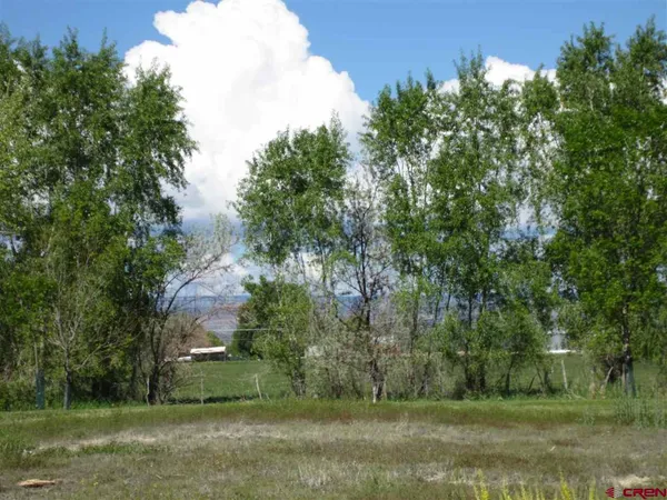 a view of a yard