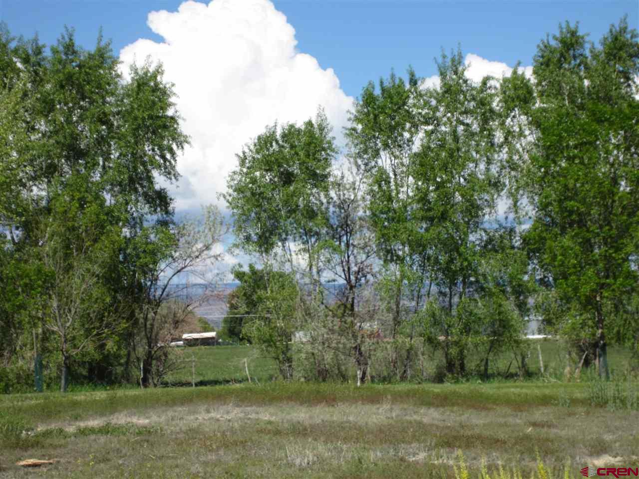 16666 6725 Road Montrose, CO 81401 - Photo 23 of 24 a view of a yard