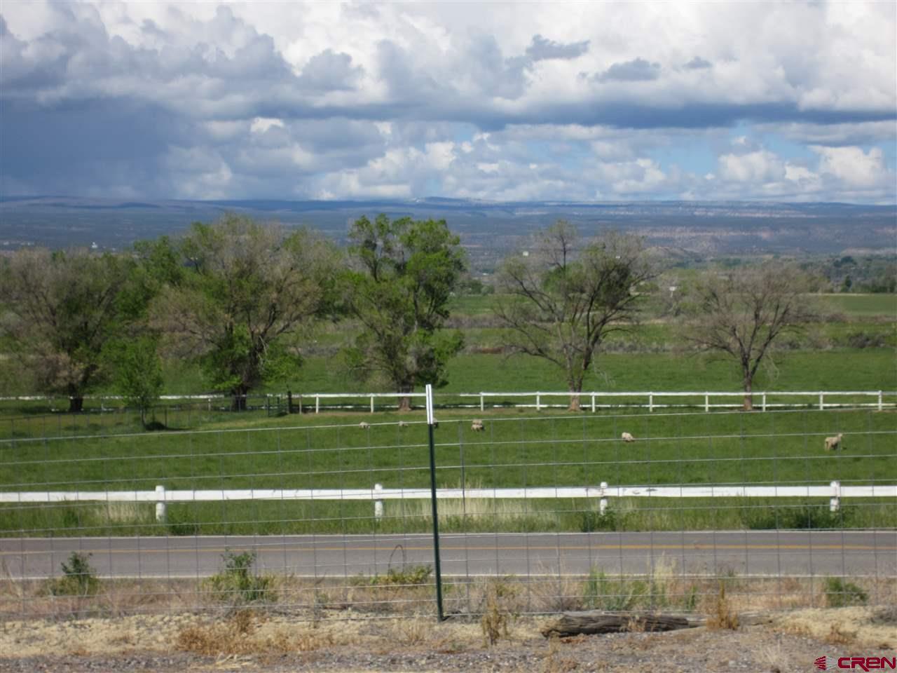 16666 6725 Road Montrose, CO 81401 - Photo 24 of 24 a view of a park