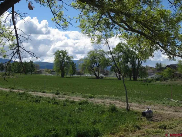 a view of a park