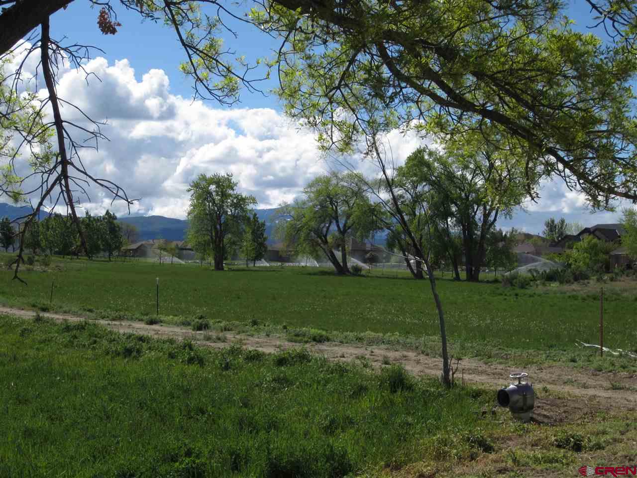 16666 6725 Road Montrose, CO 81401 - Photo 3 of 24 a view of a park