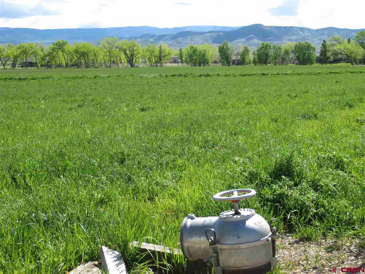16666 6725 Road Montrose, CO 81401 - Photo 4 of 24 a view of a couches in backyard of the house