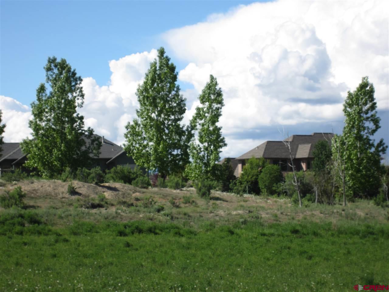16666 6725 Road Montrose, CO 81401 - Photo 5 of 24 a view of a garden with a building in background