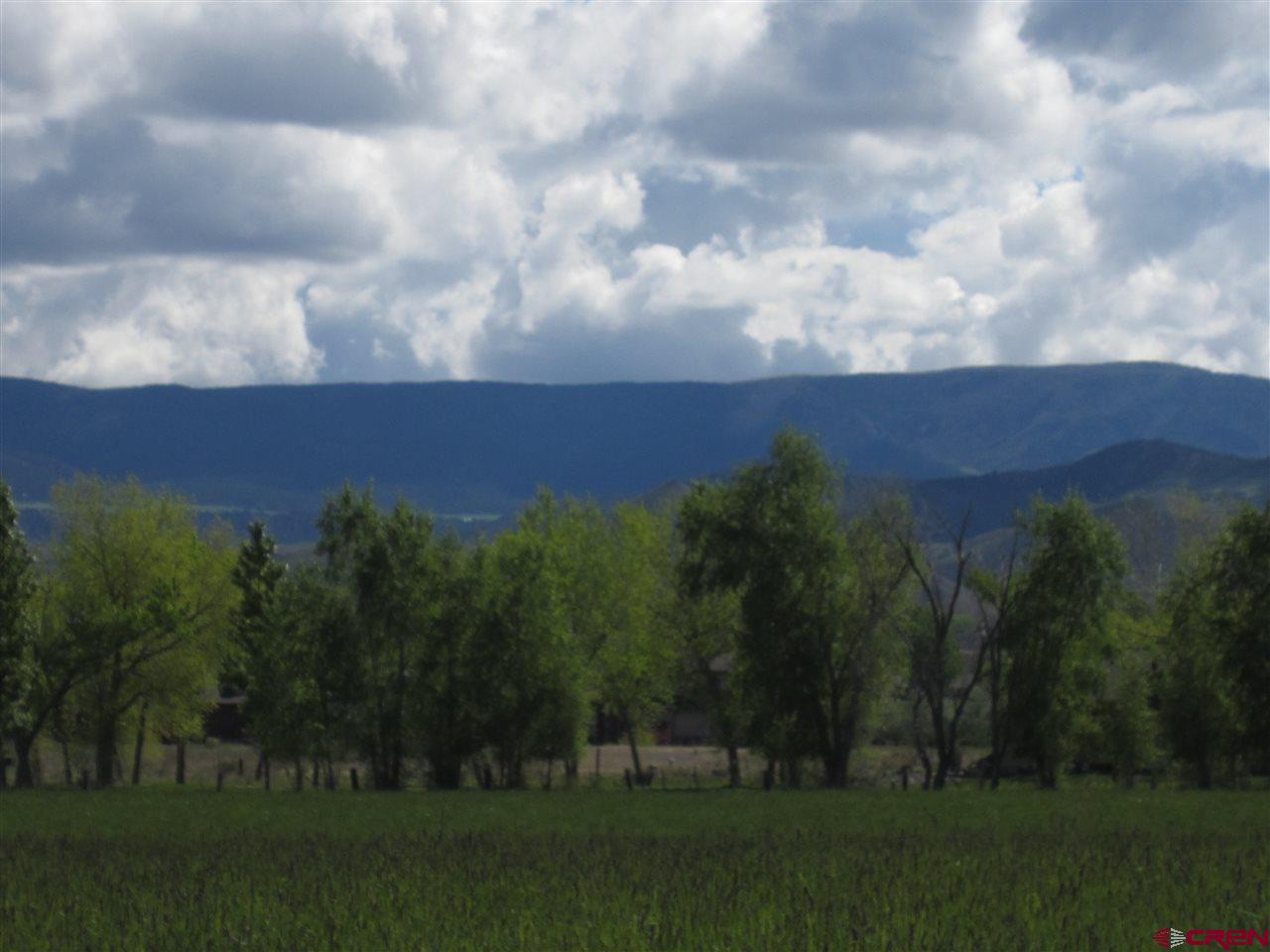 16666 6725 Road Montrose, CO 81401 - Photo 6 of 24 a view of a yard