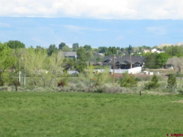 a view of a green field with lots of bushes