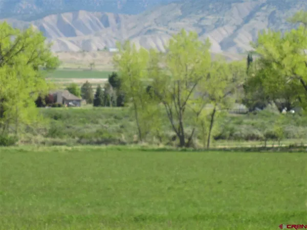 a view of a green yard