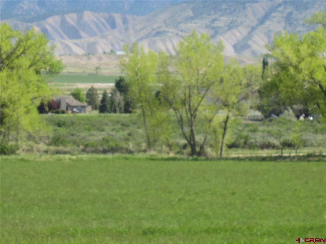 16666 6725 Road Montrose, CO 81401 - Photo 10 of 24 a view of a green yard