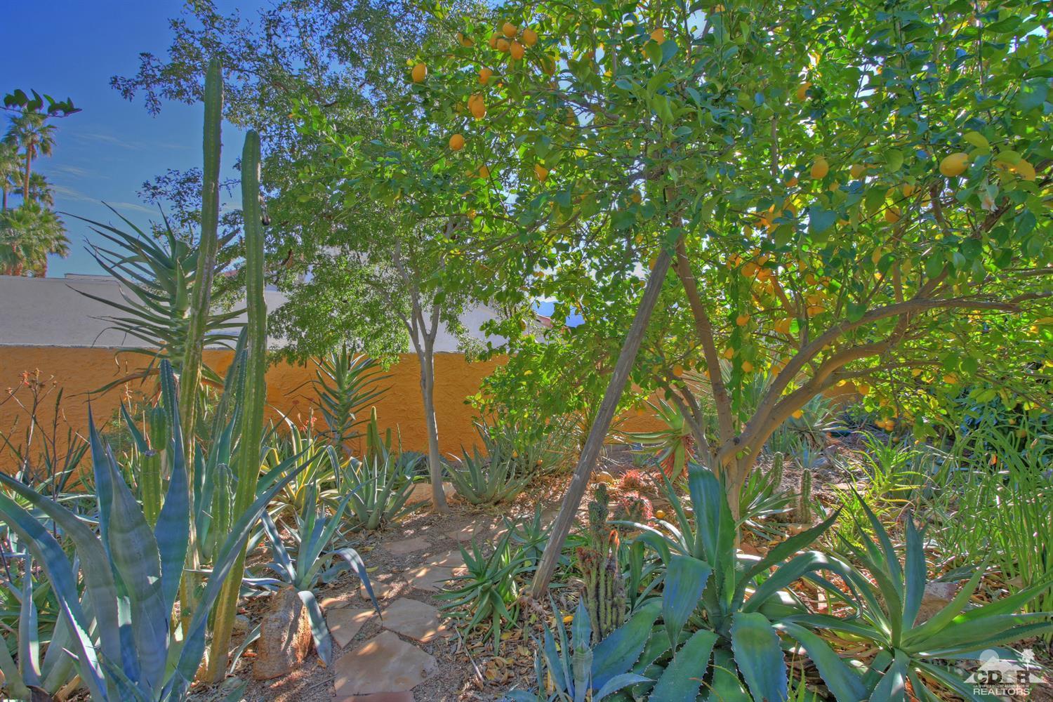 73461 Haystack Road Palm Desert, CA 92260 - Photo 36 of 38 Additional Photo