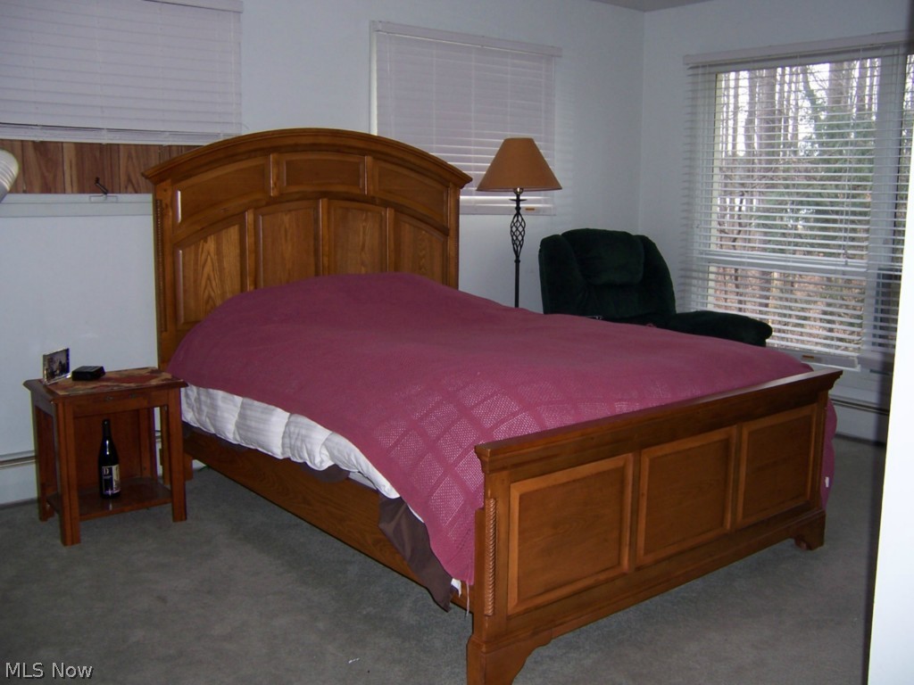 2300 Green Road Madison, OH 44057 - Photo 18 of 20