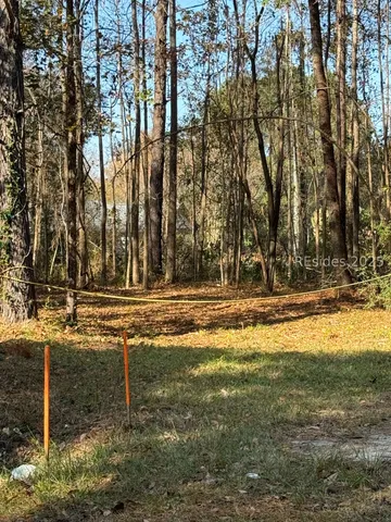 $55,000 | 0 Main Street West, Ridgeland, SC 29936