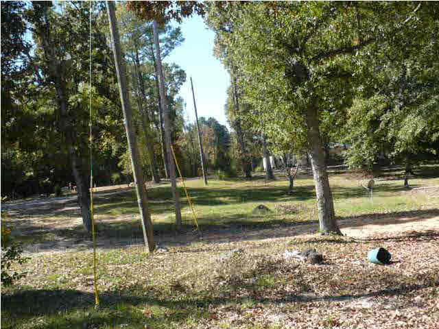 197 Bishop Road Morton, MS 39117 - Photo 9 of 11 Photo 9