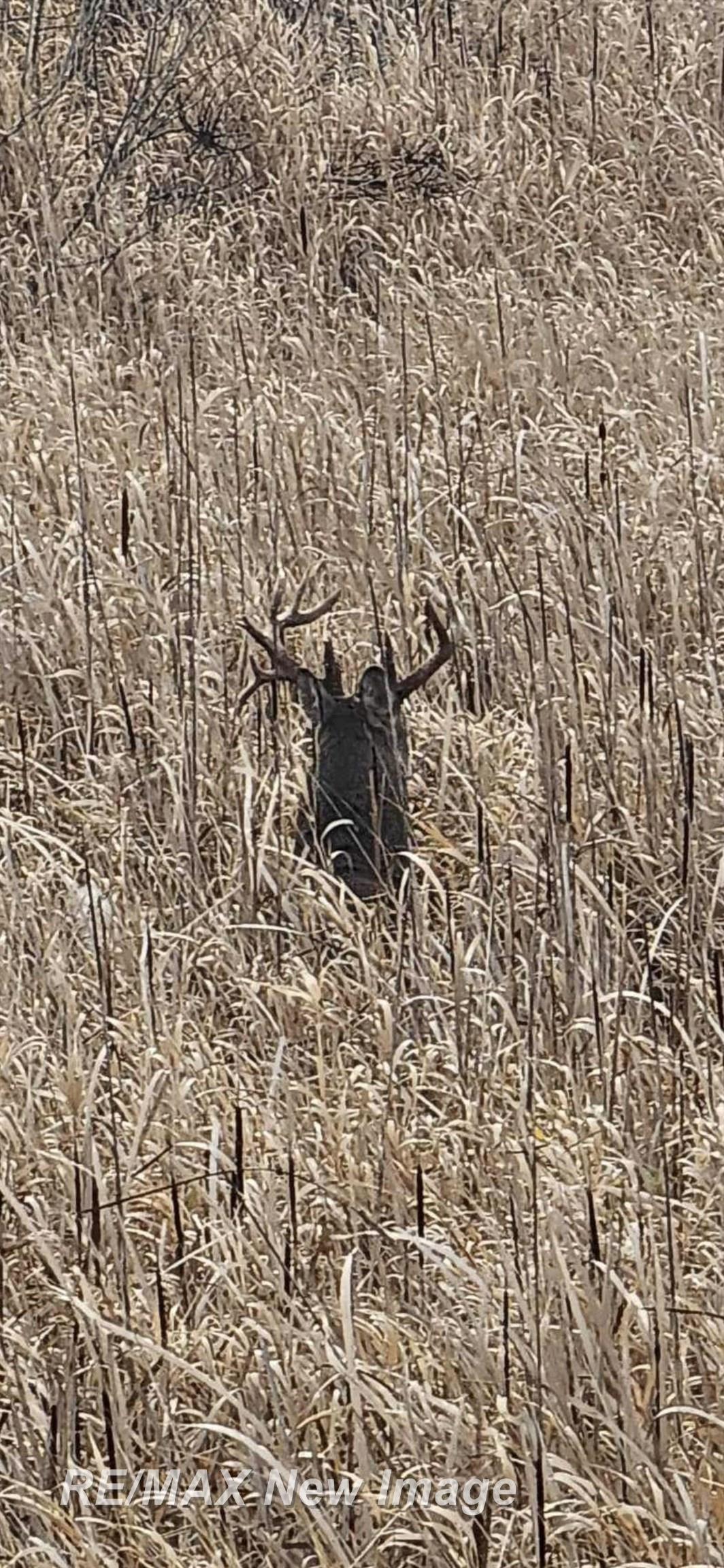15905 West Burt Road Chesaning, MI 48616 - Photo 63 of 76 50143281-e8148dc5-6ffa-41bc-996b-d2627f23a763.JPG