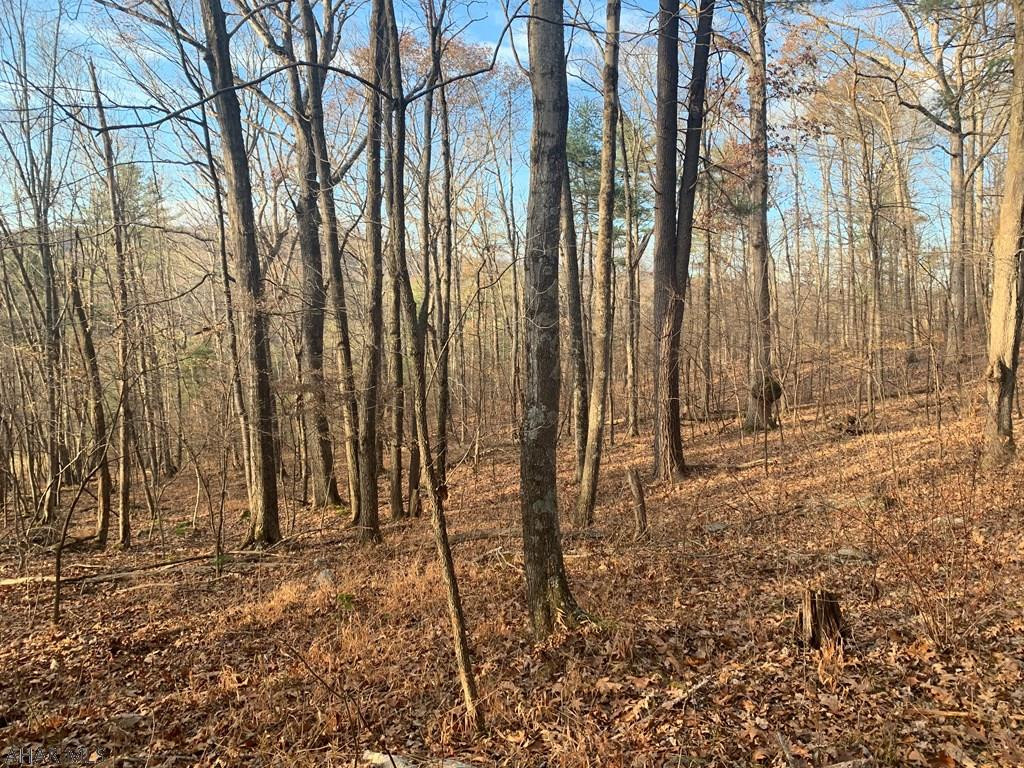 Lot I Clear Ridge Road Clearville, PA 15535 - Photo 17 of 24