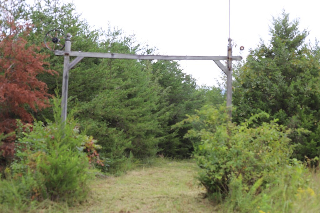 0 Guffy Hollow Road Sevierville, TN 37876 - Photo 2 of 6 a view of a yard