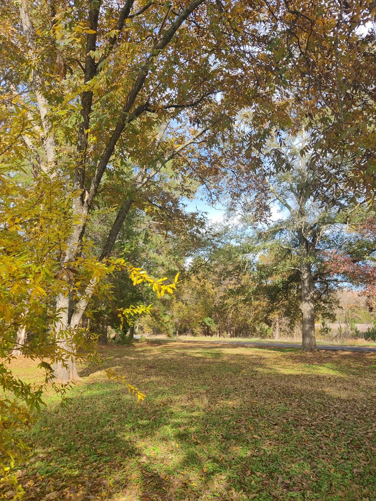 6266 Old Calhoun Falls Road Calhoun Falls, SC 29628 - Photo 4 of 33 Gallery Image 4