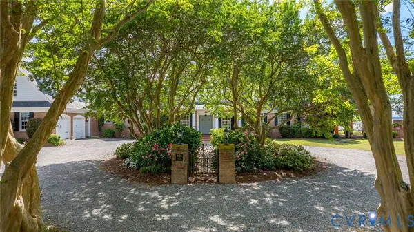 a view of a garden with plants and trees