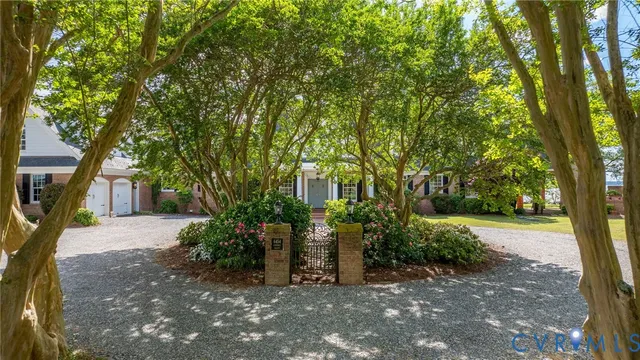 a view of a garden with plants and trees