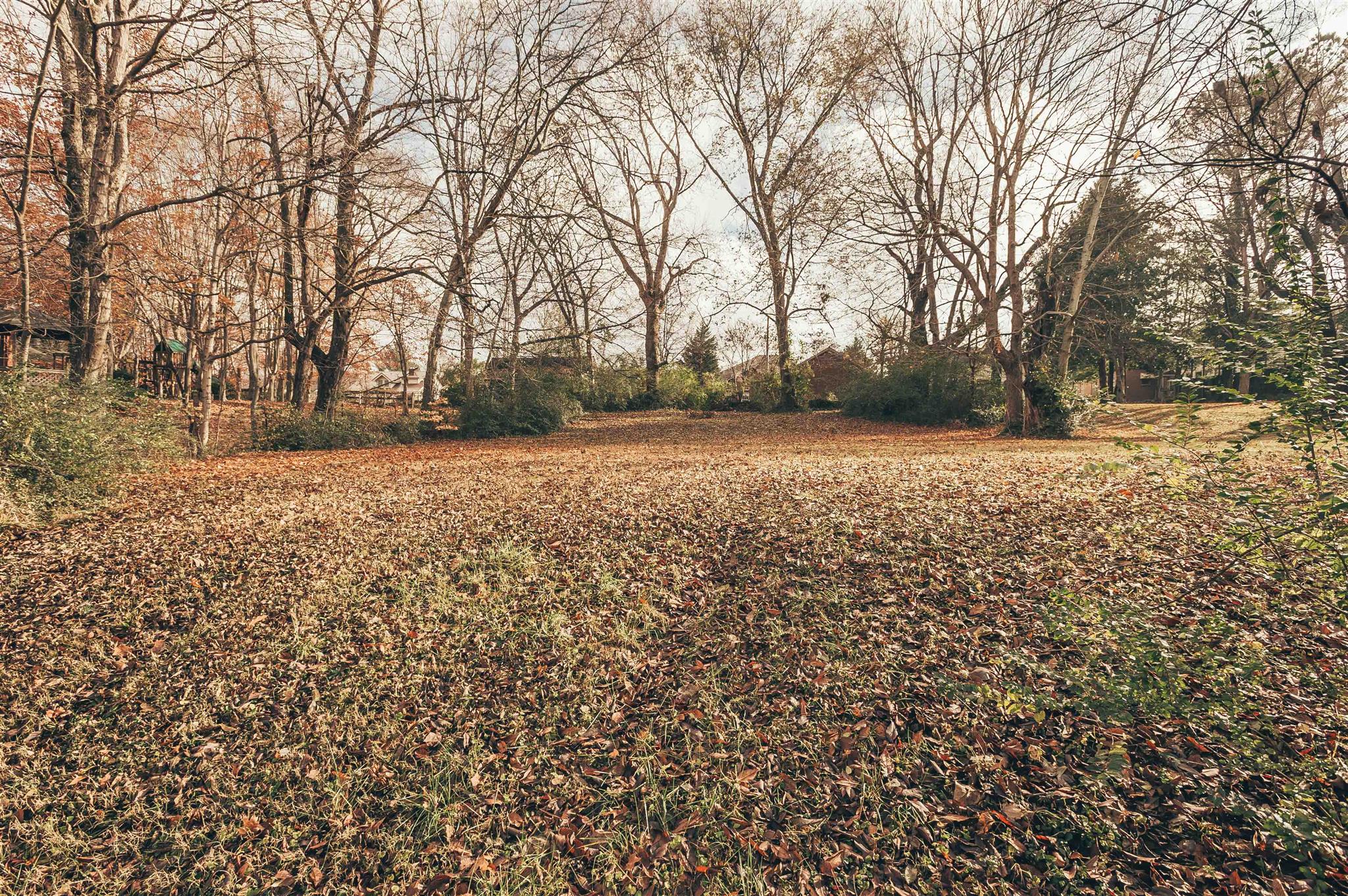 0 Grandview Street Springfield, TN 37172 - Photo 2 of 21 a backyard of a house with lots of green space