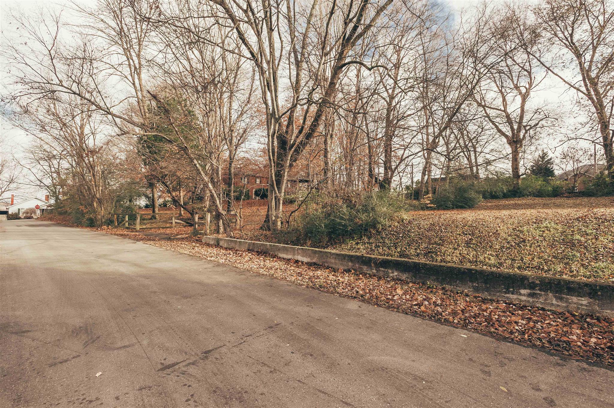 0 Grandview Street Springfield, TN 37172 - Photo 11 of 21 a view of a yard with trees