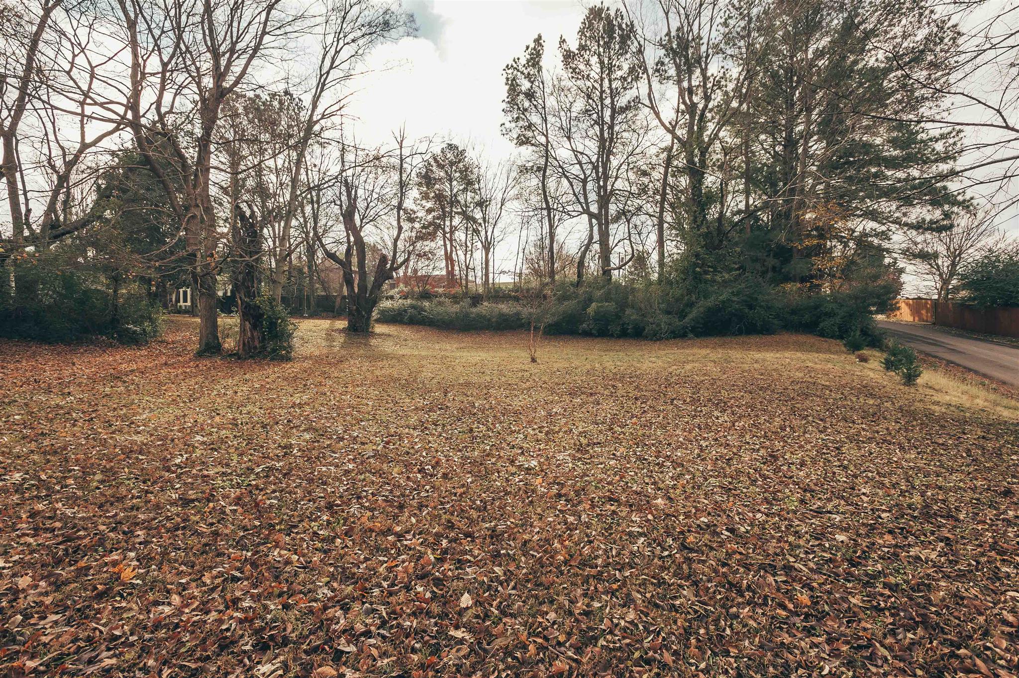 0 Grandview Street Springfield, TN 37172 - Photo 4 of 21 a view of a field with trees in the background