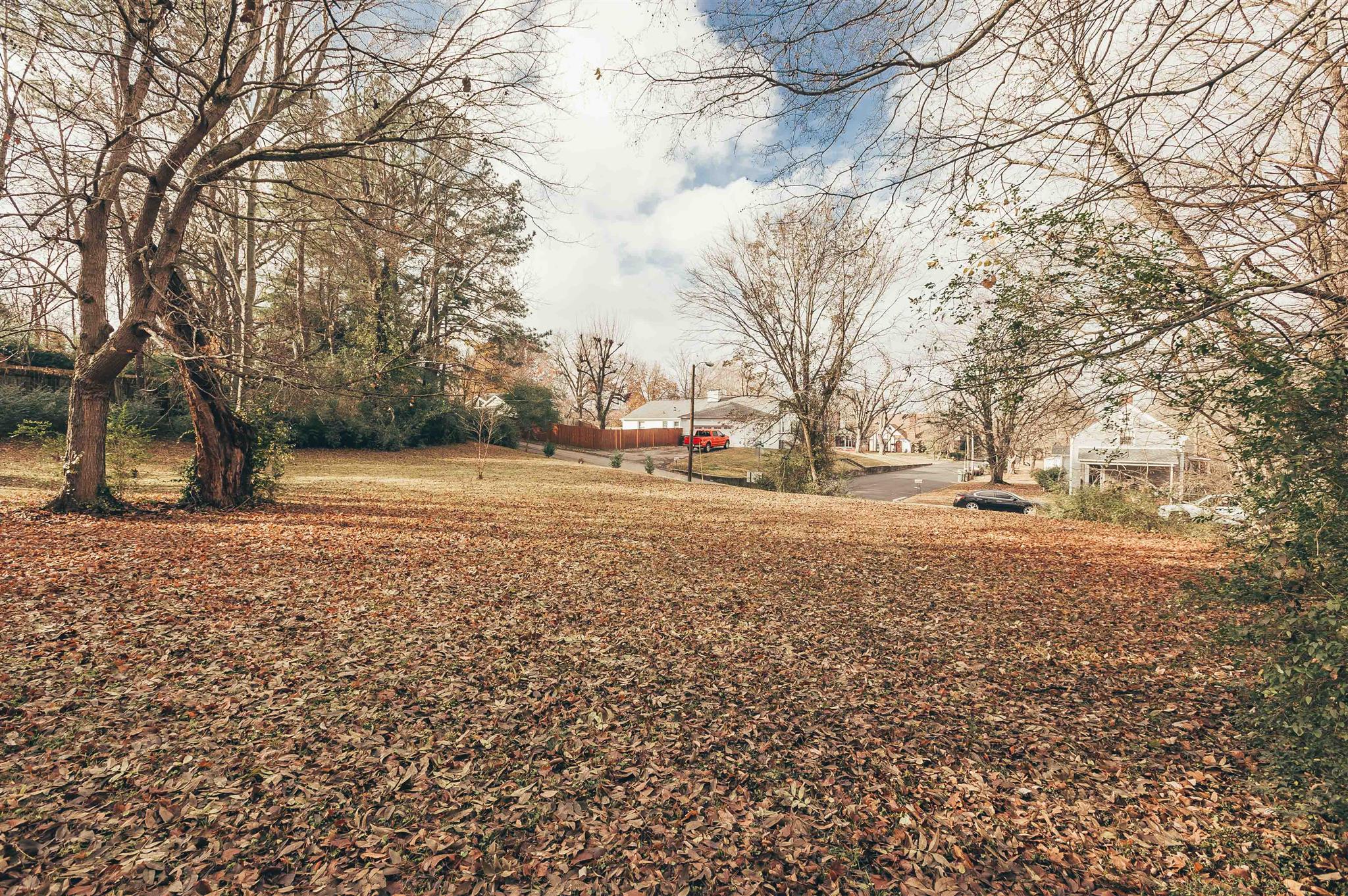 0 Grandview Street Springfield, TN 37172 - Photo 7 of 21 a view of outdoor space with deck and trees
