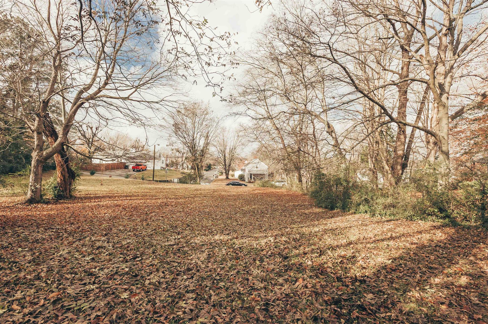 0 Grandview Street Springfield, TN 37172 - Photo 8 of 21 a view of dirt yard with a large tree