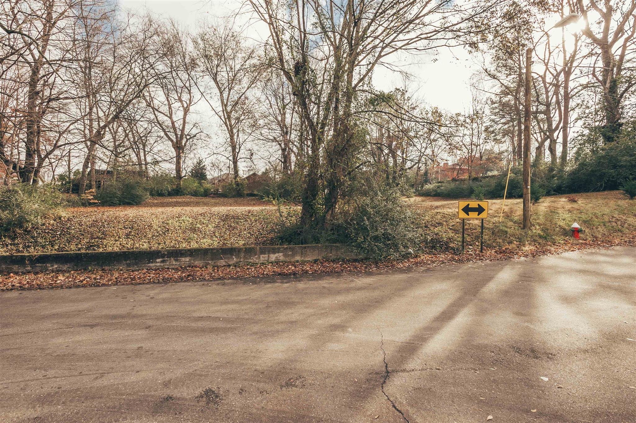 0 Grandview Street Springfield, TN 37172 - Photo 10 of 21 a view of a yard with a tree