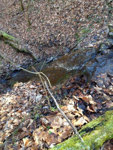 0 Anglin Falls Road Mount Vernon, KY 40456 - Photo 3 of 5 Photo 3