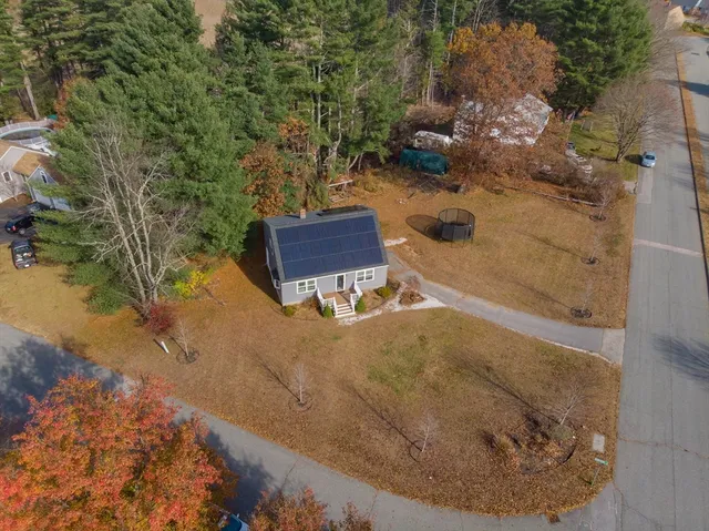 a view of a backyard with plants and a yard
