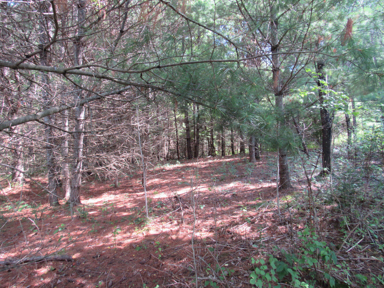 18 Sandy River Road Starks, ME 04911 - Photo 2 of 21 IMG_3263_result