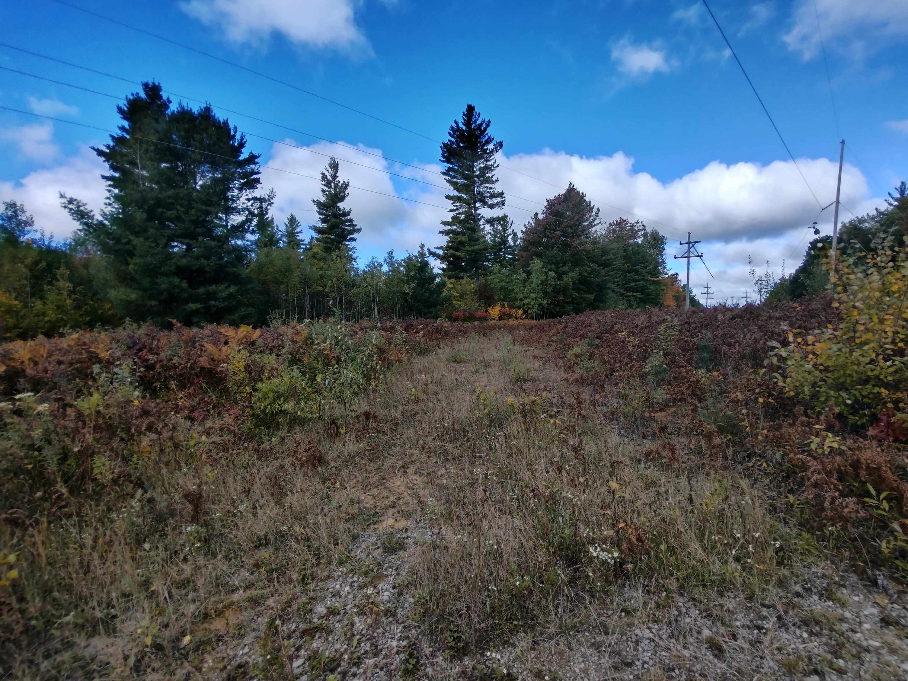 N/a North Fire Road Twining, MI 48766 - Photo 3 of 7