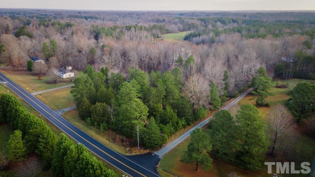 a view of a bunch of trees and bushes