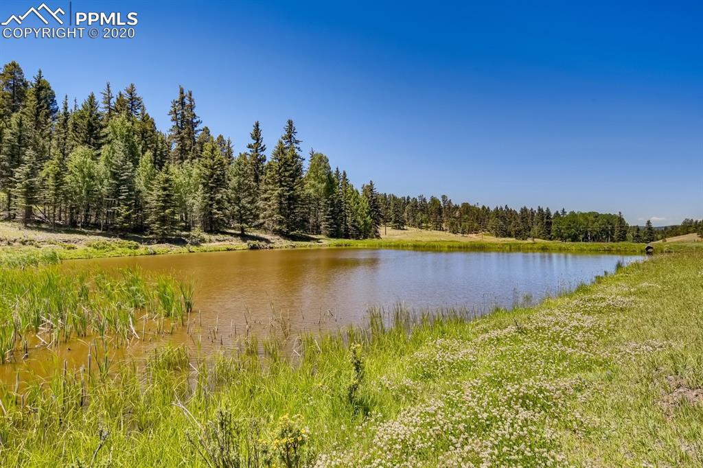 247 Pinewood Road Florissant, CO 80816 - Photo 25 of 39 a view of a lake with houses in the back