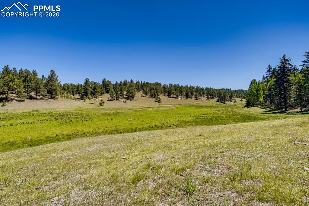 247 Pinewood Road Florissant, CO 80816 - Photo 26 of 39 a view of a field with an trees in the background